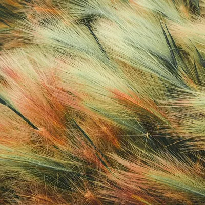 Background abstract full hd wallpaper 4k abstract wallpaper