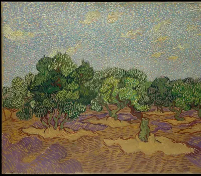 Olive Trees hd abstract wallpaper