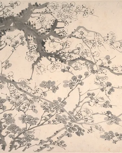 Plum blossoms hd abstract wallpaper