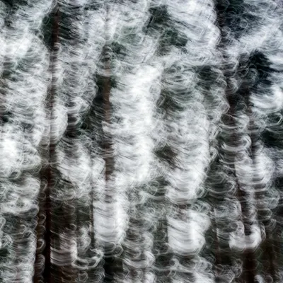 Artistic abstract blur of trees creating a swirling motion effect in a forest se 4k aesthetic wallpaper