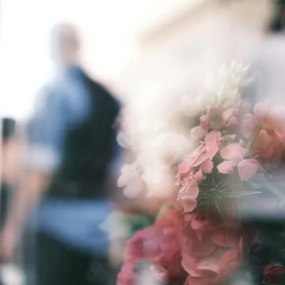 Elegant reflection of pink flowers with blurred human silhouettes, creating a dr 4k aesthetic wallpaper