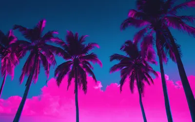 Neon Pink Palm Trees hd aesthetic wallpaper
