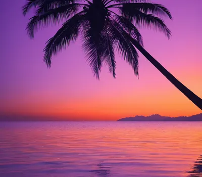 Sunset Beach Silhouette phone aesthetic wallpaper