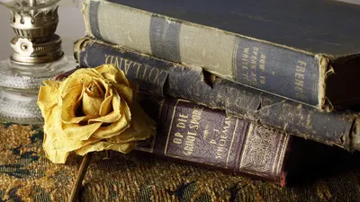 Vintage books old books vintage aesthetic 4k aesthetic wallpaper