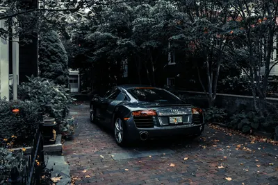 A sleek Audi R8 parked in a leafy residential driveway in Cape May, NJ, showcasi 4k cars wallpaper