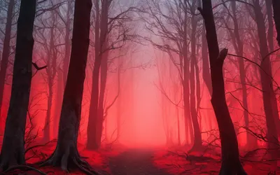 Dark Forest Blood Moon tablet dark wallpaper