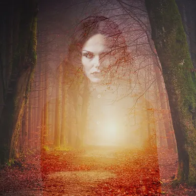 Forest ghost gothic 4k dark wallpaper