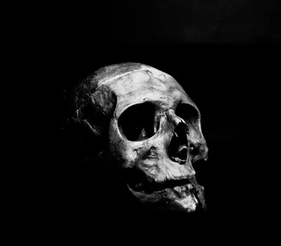 Moody black and white photo of a skull on a dark background. 4k dark wallpaper