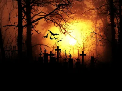 Moonlight night horror hd dark wallpaper