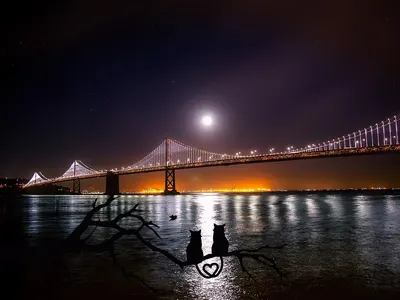 San francisco oakland bay bridge 4k dark wallpaper