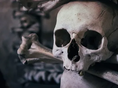 Skull ossuary czech republic 4k dark wallpaper