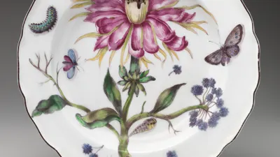 Botanical plate with thistle hd flowers wallpaper