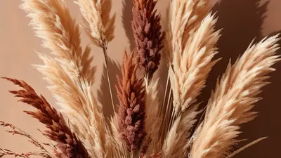 Dried Flower Bouquet phone flowers wallpaper