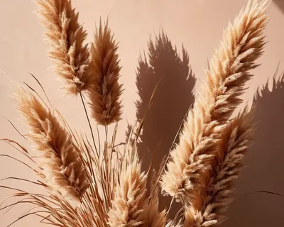 Dried Flower Bouquet phone flowers wallpaper