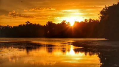 A mesmerizing sunset casts golden hues over a tranquil forest lake, reflecting s 4k lake wallpaper