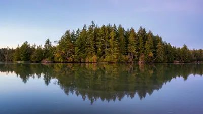 A serene forest scene with trees reflected in a placid lake during twilight, cap 4k lake wallpaper