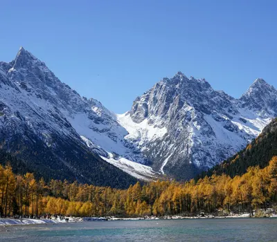 Breathtaking view of snow-capped mountains framed by autumn foliage and a serene 4k lake wallpaper