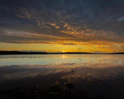 Captivating sunset view reflecting on a serene lake in Ludvika, Dalarnas län, Sw 4k lake wallpaper
