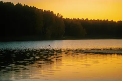 Serene lake view during sunset with golden reflections on the water and a distan 4k lake wallpaper