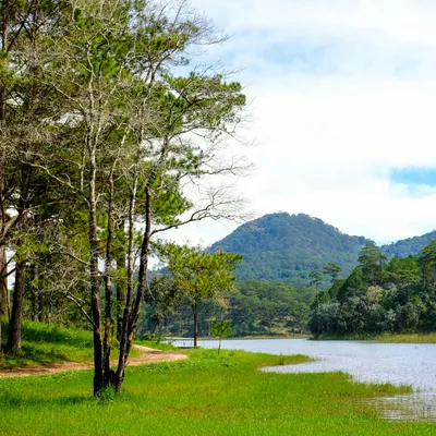 Tranquil mountain lake surrounded by lush green forests and hills under a clear  4k lake wallpaper