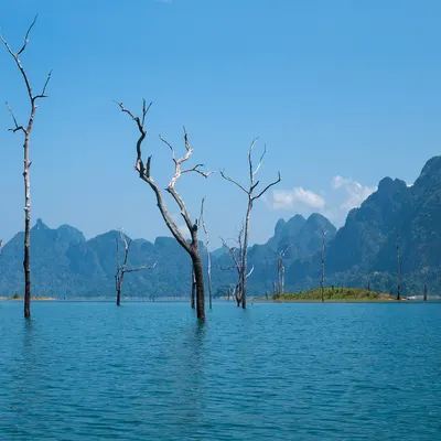 Trees rising out of Cheow Lan Lake, blue sky, eternal summer in Surat Thani edit 4k lake wallpaper