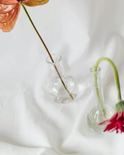 Artistic composition of flowers in glass vases on soft satin fabric. 4k minimal wallpaper