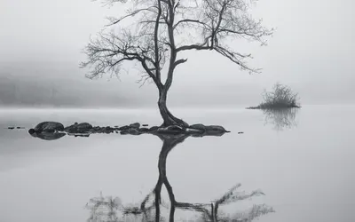 Minimal Fog Lake tablet minimal wallpaper