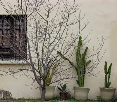 Window facade house 4k minimal wallpaper