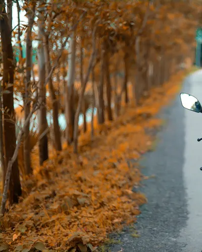 Motorcycle biker driver 4k motorcycle wallpaper