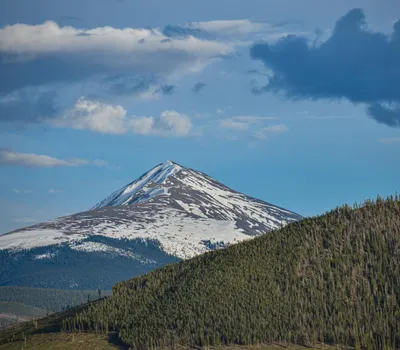A stunning view of a snow-capped peak with lush forests against a bright blue sk 4k mountain wallpaper