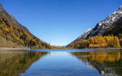 Calm alpine lake with snow-capped mountains and fall foliage reflecting on water 4k mountain wallpaper