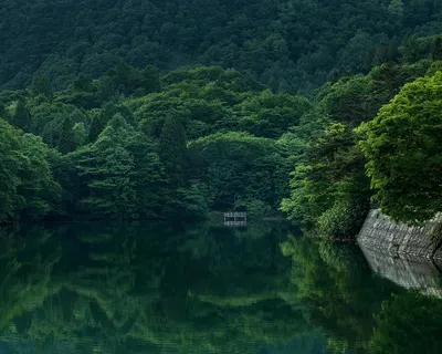 Lake forest dock 4k mountain wallpaper