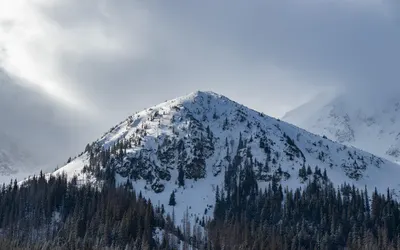 Mountain peak forest 4k mountain wallpaper