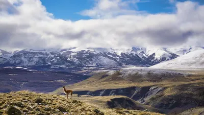 Mountains animal clouds 4k mountain wallpaper