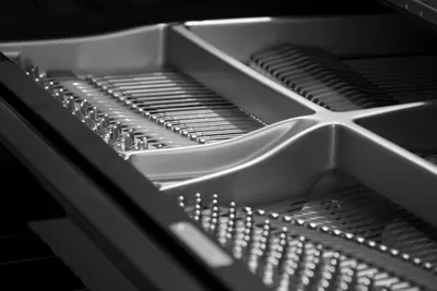 Detailed black and white photo showing strings inside a grand piano. 4k music wallpaper