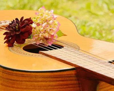 Guitar musical instrument make music 4k music wallpaper