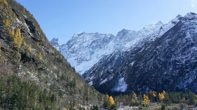 A breathtaking view of snow-capped mountains with autumn foliage, perfect for na 4k nature wallpaper