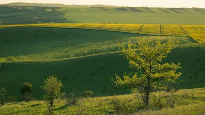 Beautiful rural landscape with rolling hills and vibrant green fields at sunset. 4k nature wallpaper