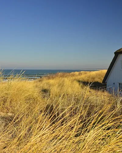 House thatched cottage dune 4k nature wallpaper