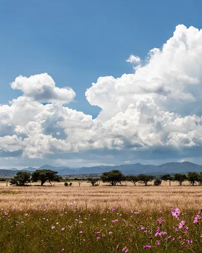 Large cloud over Mexican landscape 4k nature wallpaper