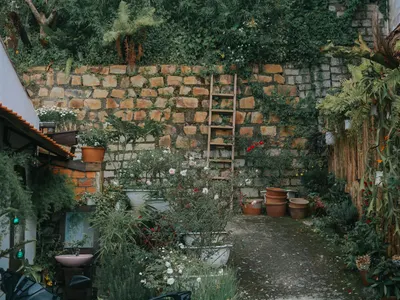 Lush garden courtyard with stone wall and plants in Đà Lạt, Vietnam. 4k nature wallpaper