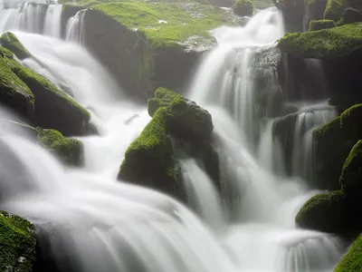 Moss brook water 4k nature wallpaper