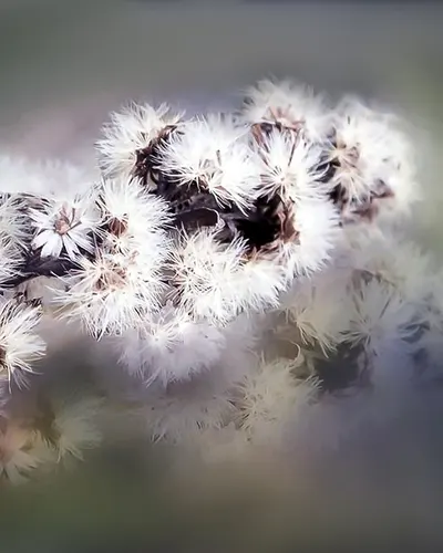 Nature spring summer 4k nature wallpaper