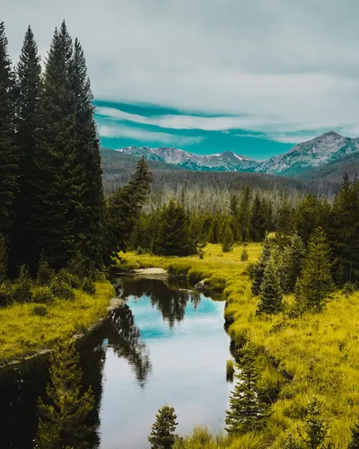 Peaceful mountain stream surrounded by lush pine forest and distant peaks under  4k nature wallpaper
