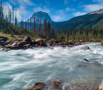 River trees mountains 4k nature wallpaper