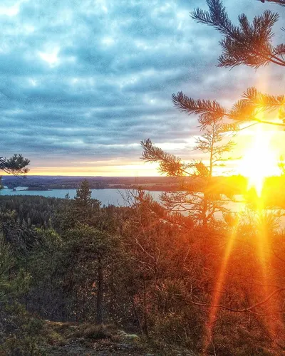 Scenery nature sunshine 4k nature wallpaper