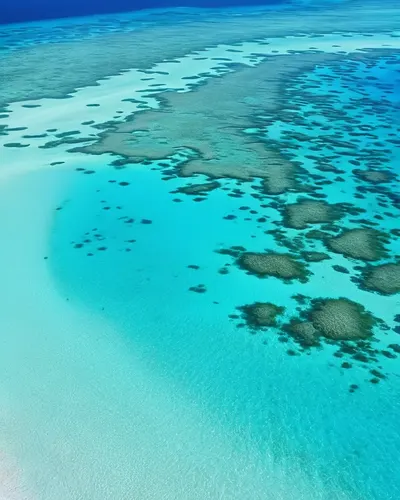 Turquoise Ocean Aerial View phone nature wallpaper