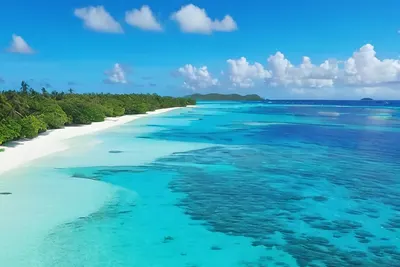 Turquoise Ocean Aerial View phone nature wallpaper