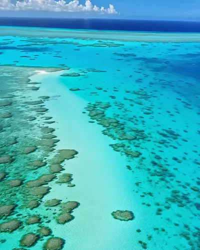 Turquoise Ocean Aerial View phone nature wallpaper