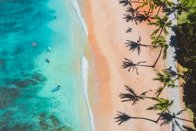 Aerial shot of a tropical beach with lush palm trees and crystal clear water, ca 4k ocean wallpaper